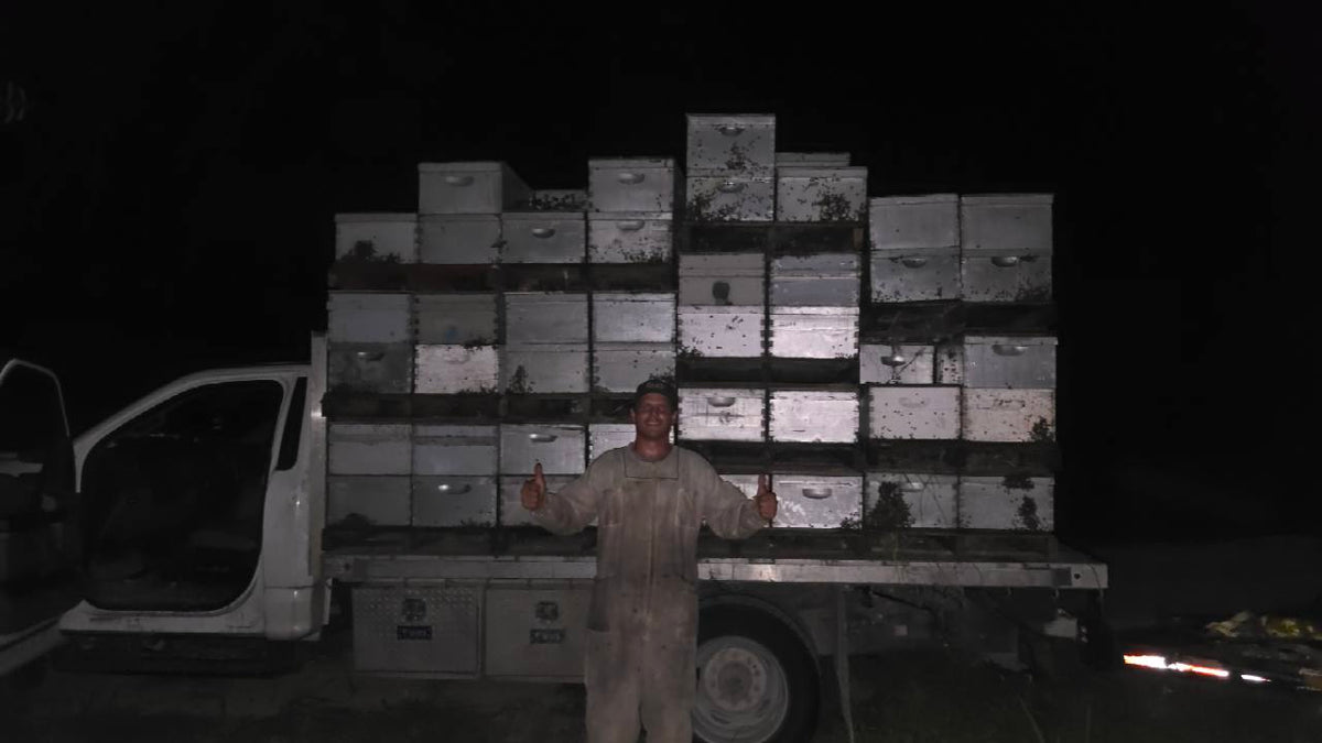 Chance Rogers beside the bee truck loaded with hive boxes