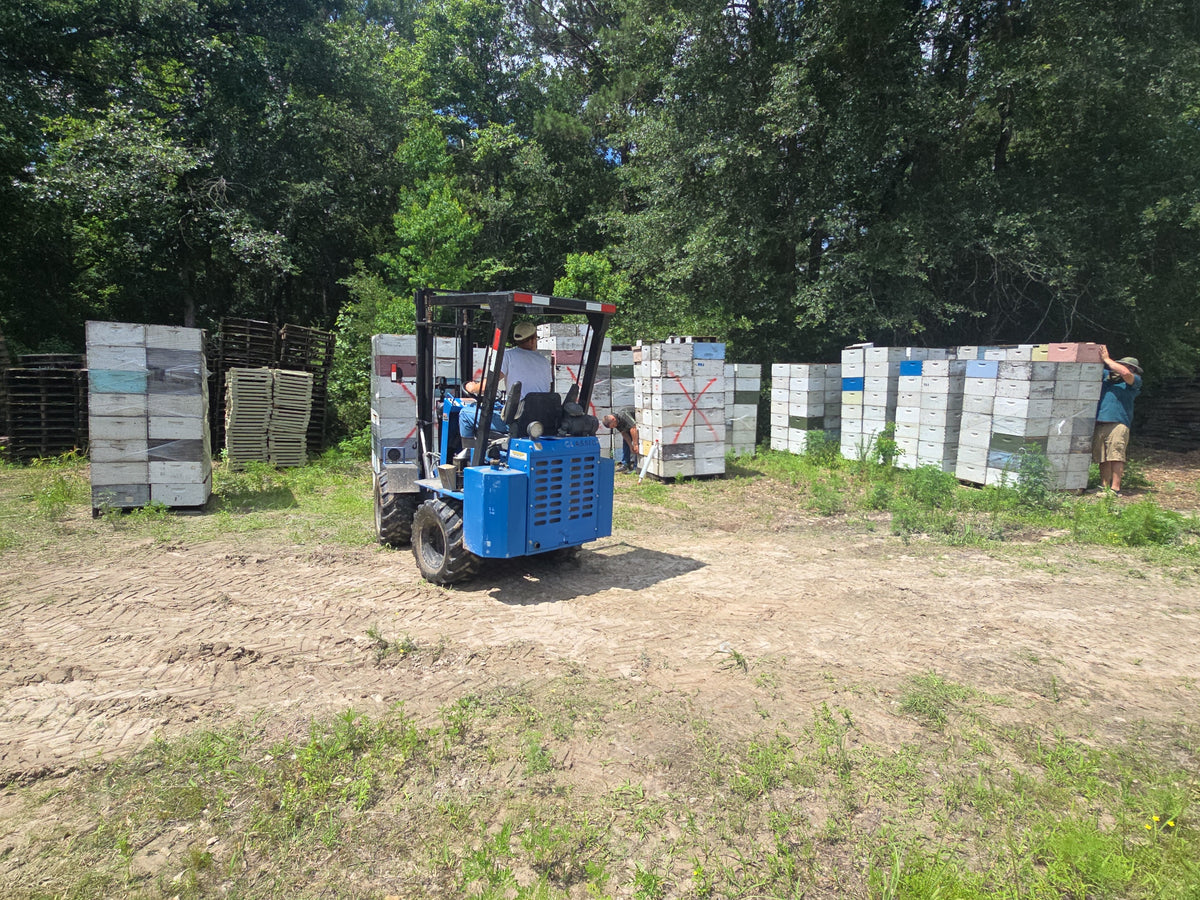 Hive boxes and equipment in the apiary yard