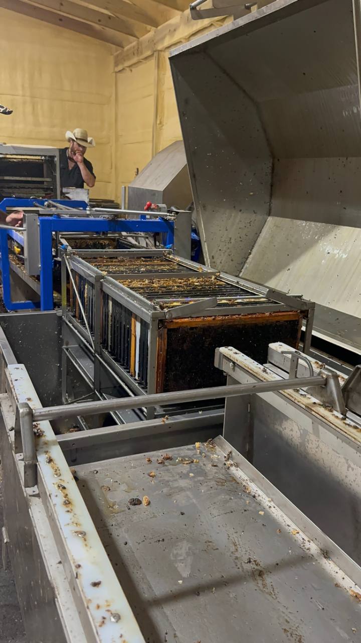 Honey frames moving through extraction equipment