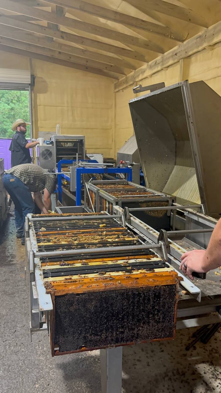 Honey frames and equipment in the extraction room