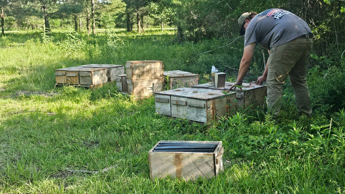 Beekeeper working beside hive boxes with a smoker