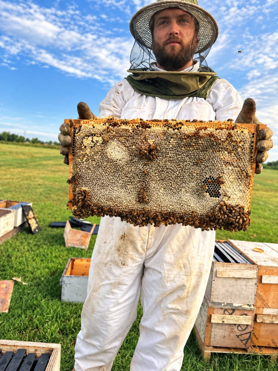 Michael Hoy holding a honey frame at Southern Drip Farms